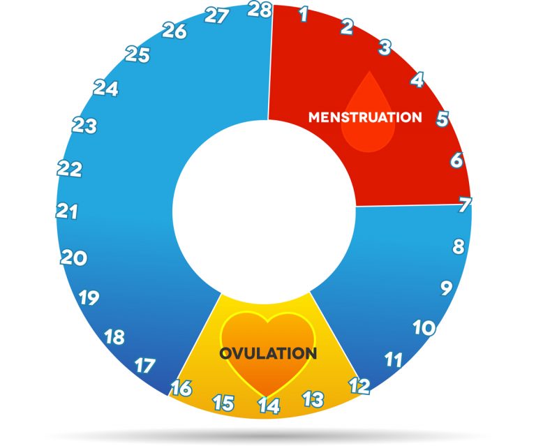 Ovulazione