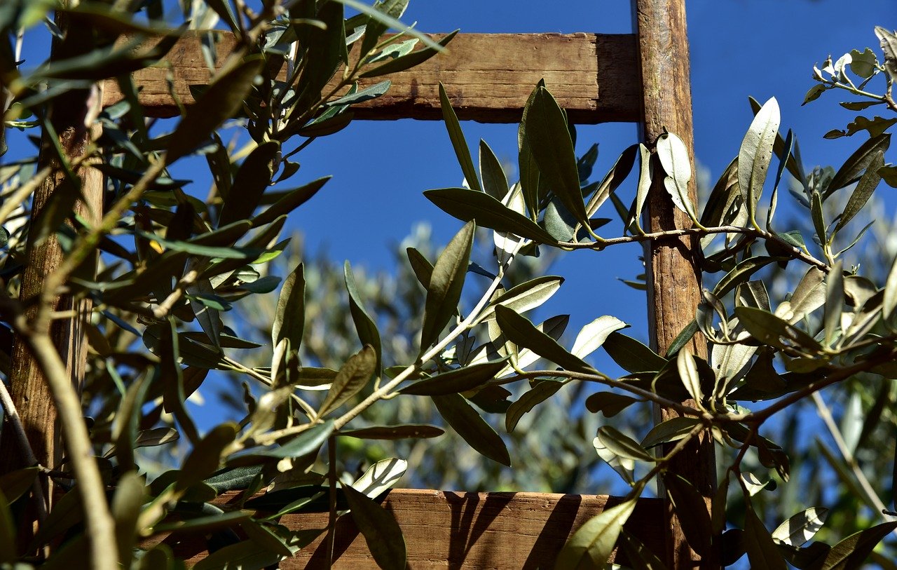 La domenica delle palme raccontata ai bambini