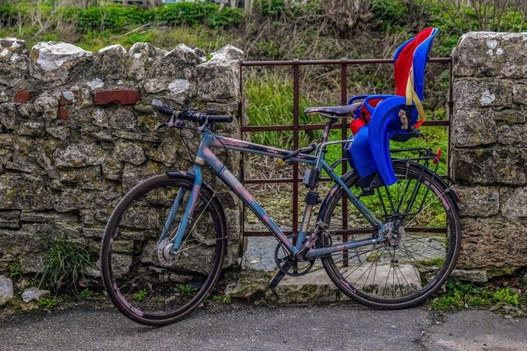 quale seggiolino bici scegliere