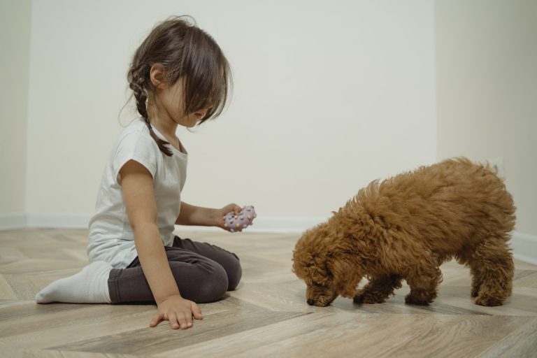 crescere un bambino emotivamente intelligente