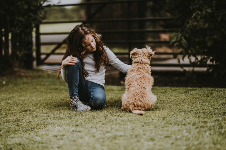 spiegare la morte di un animale a un bambino