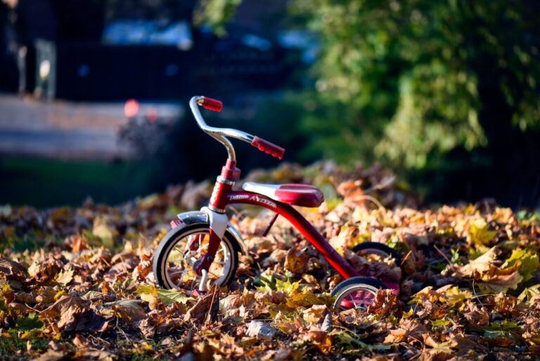 dove trovare triciclo per bambini